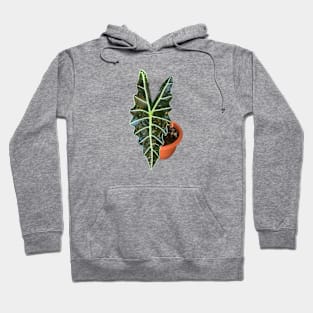 Alocasia Polly Hoodie